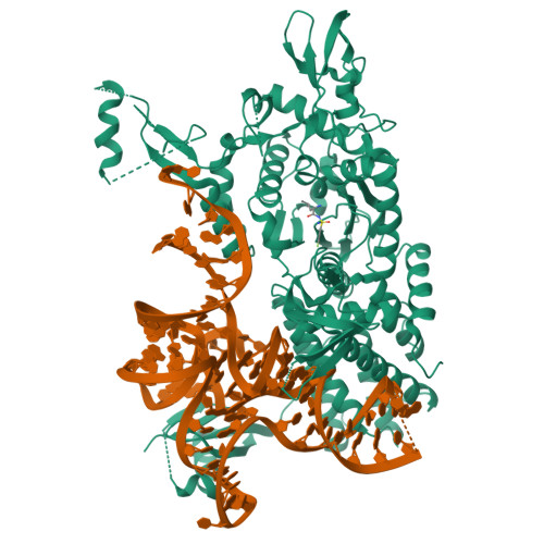 Structure 9TWU