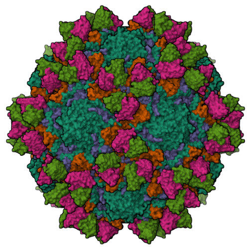 Structure 9U04