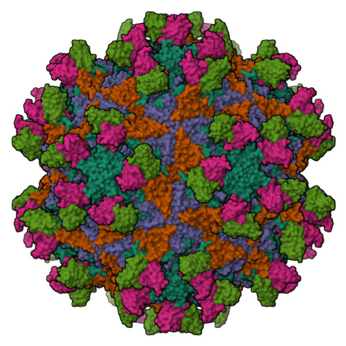 Structure 9U06