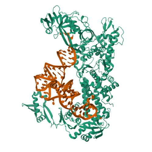 Structure 9U0O