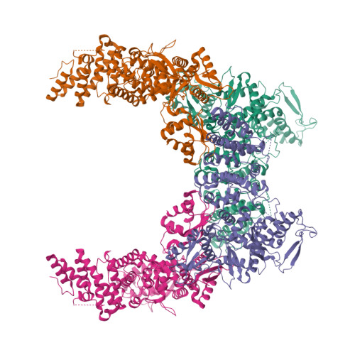 Structure 9U4A