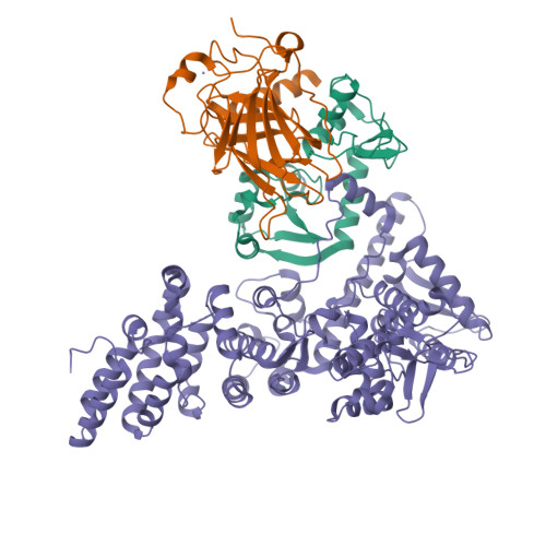 Structure 9U4D