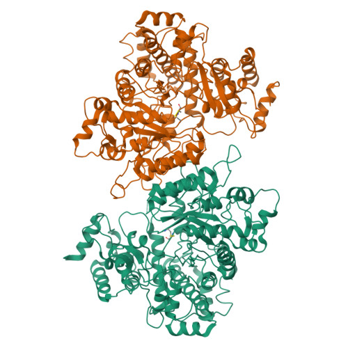 Structure 9U4Z