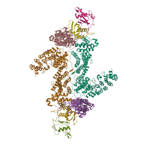 Rbx1 Structure RCSB PDB - 9UA3: Cryo-EM structure of neddylated CUL2-RBX1-FEM1C-ELOB-ELOC