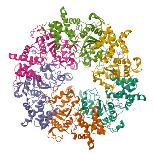 Structure 9UDK