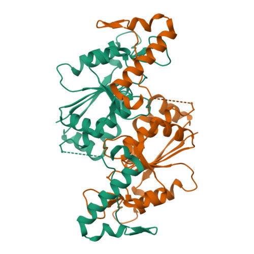 Structure 9UE5
