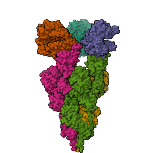 RCSB PDB - 9UE7: Cryo-EM structure of SARS-CoV-2 KP.2 spike in complex ...