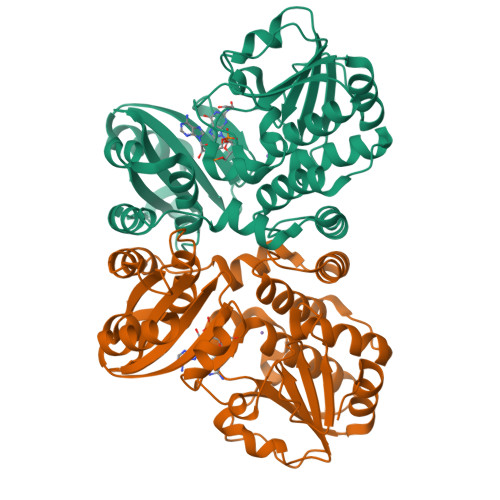 Structure 9UEO