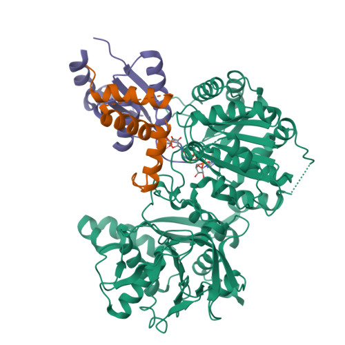 Structure 9UF1
