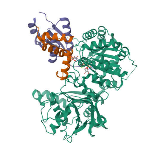 Structure 9UF2