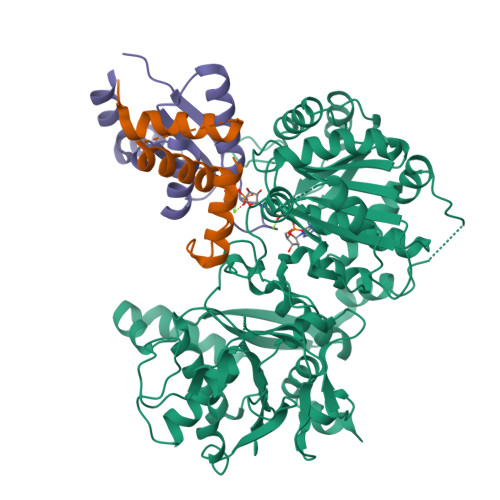 Structure 9UF4