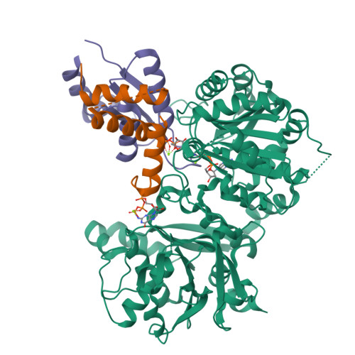 Structure 9UF5