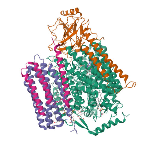 RCSB PDB - 9UFT: Ubiquinol Binding Site of Cytochrome bo3 from ...