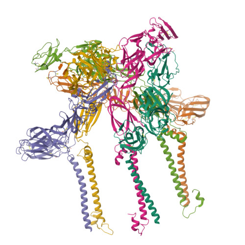 RCSB PDB - 9UIH: CryoEM structure of Western equine encephalitis virus ...