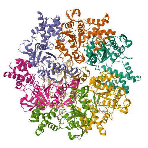 Structure 9UKG