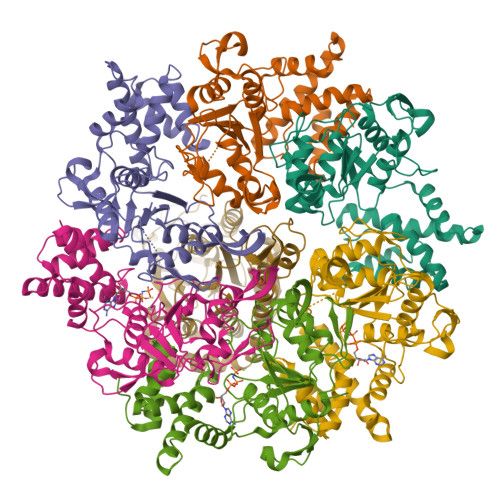 Structure 9UKH