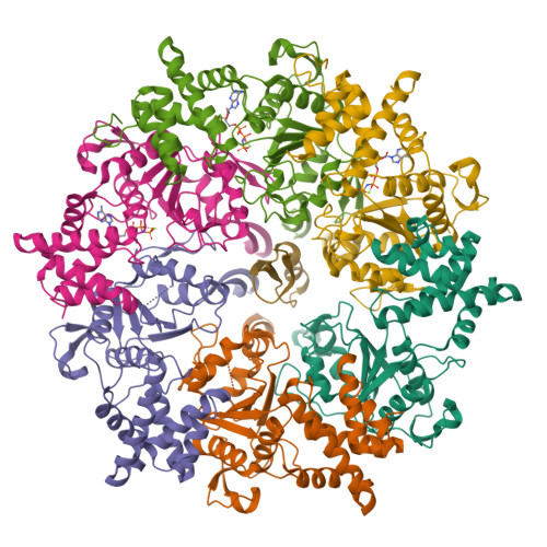 Structure 9UKJ