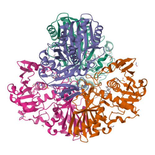 Structure 9UNY
