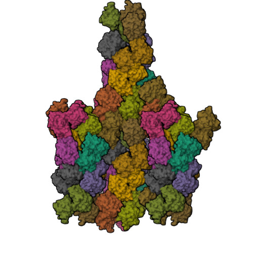 RCSB PDB - 9UNZ: Crystal structure of the V165A/S219E/A225P mutant of ...