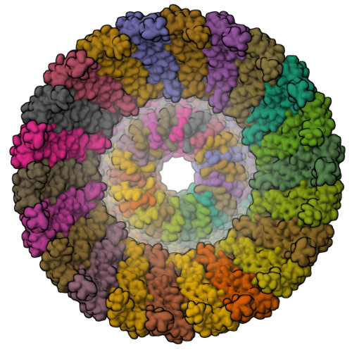 emiliumページ RCSB PDB - 9URZ: Cryo-EM structure of the Prohibitin complex from