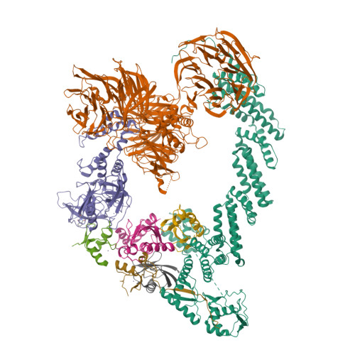 Structure 9UUQ