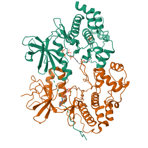 RCSB PDB - 9UW3: The complex of human pMEK1 and ERK1 pY204 (ANP)