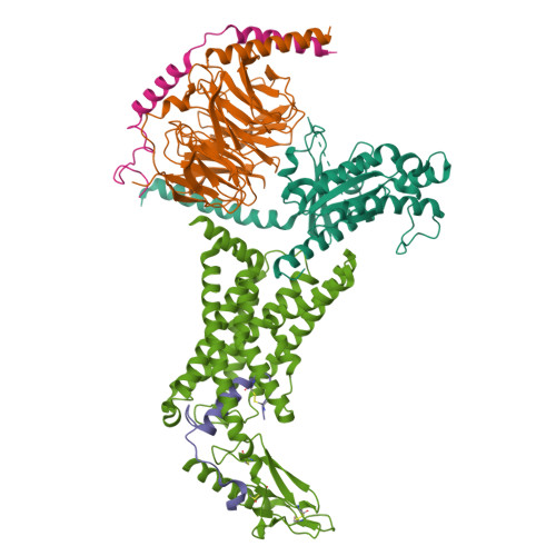 RCSB PDB