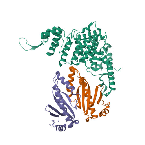 RCSB PDB - 9UX0: Crystal structure of the virulence effector VepA in ...