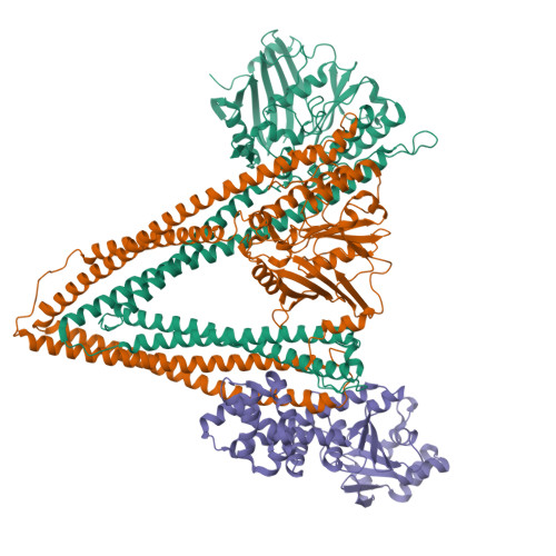 Rscb Frame RCSB PDB - 9UX8: CryoEM Structure of LmuAB Apo State