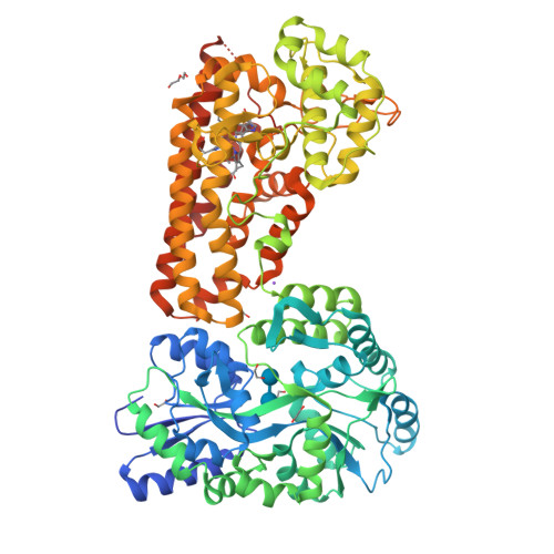 RCSB PDB - 9UYY: Crystal structure of the indoleamine 2,3-dioxygenagse ...
