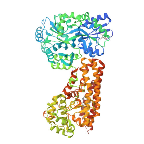 RCSB PDB - 9UZ0: Crystal structure of the indoleamine 2,3-dioxygenagse ...