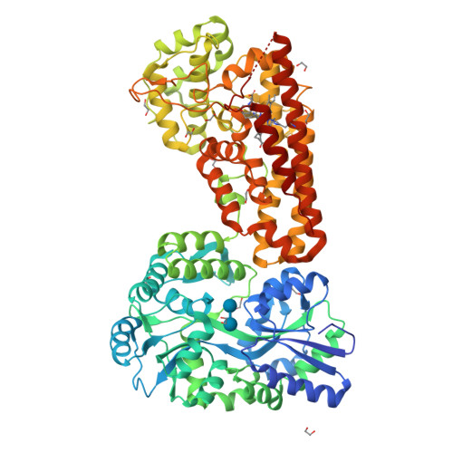 RCSB PDB - 9UZ4: Crystal structure of the indoleamine 2,3-dioxygenagse ...