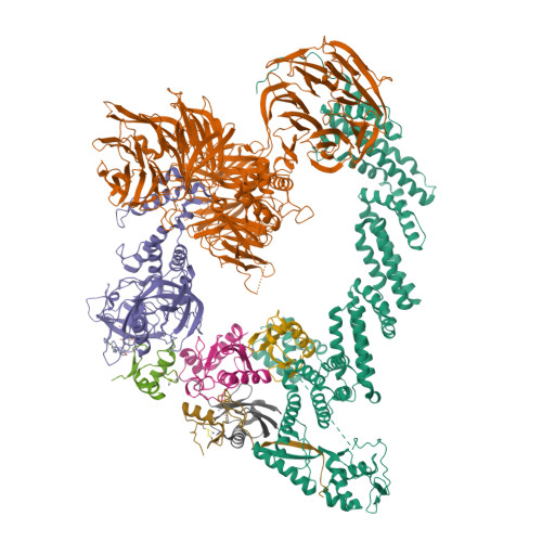 Structure 9V0E