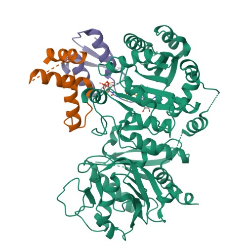 Structure 9V1N