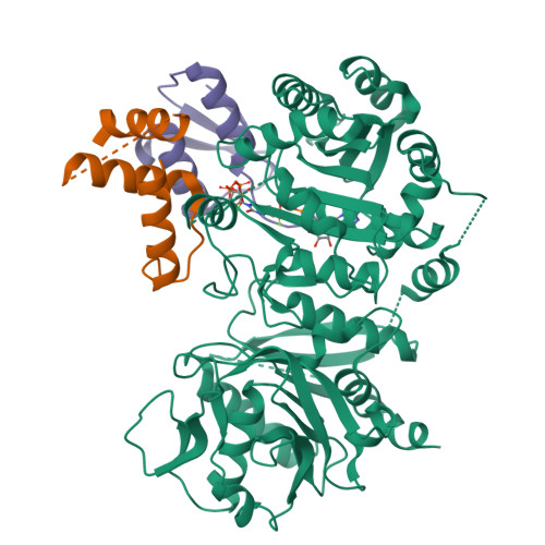 Structure 9V1O