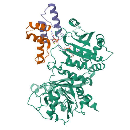 Structure 9V1V
