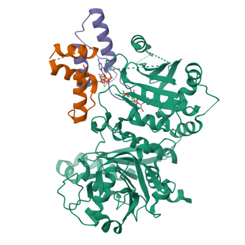 Structure 9V1X