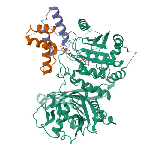 Structure 9V20