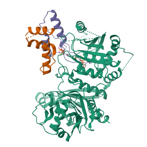 Structure 9V22