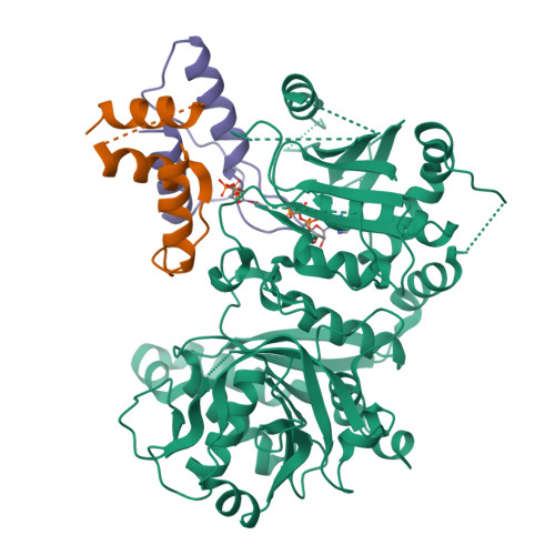 Structure 9V23
