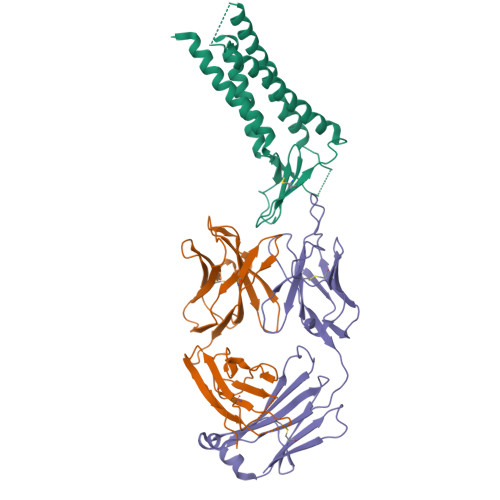3D molecular structure of zolbetuximab-clzb (PDB entry 9V32)