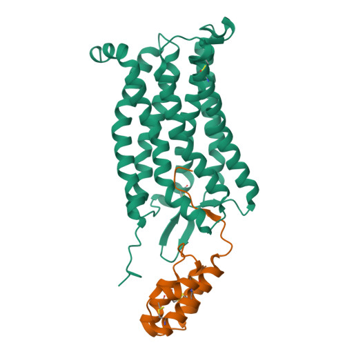 Structure 9V3C