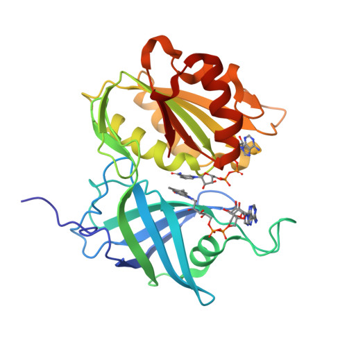 RCSB PDB - 9V69: X-ray crystal structure of the two-electron reduced ...