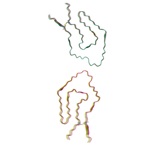 RCSB PDB - 9V91: Cryo-EM structure of renal amyloid fibril from an ...