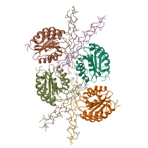 RCSB PDB - 9VB8: Crystal structure of human integrin alpha2 I domain in ...