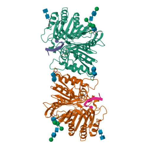RCSB PDB - 9VBH: Cryo-EM structure of human PLD3 bound to ssDNA (poly(T))