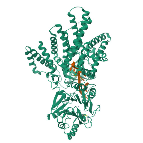 RCSB PDB - 9VCB: Cryo-EM structure of Shewanella putrefaciens ComEC in ...