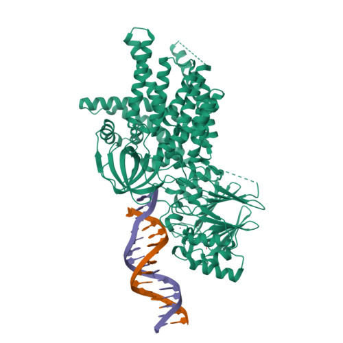 RCSB PDB - 9VCF: Cryo-EM structure of Shewanella putrefaciens ComEC in ...