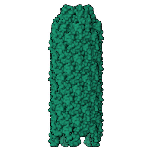 Fp3 Rp4 RCSB PDB - 9VF4: CryoEM structure of phospholipid-independent cyclised ...