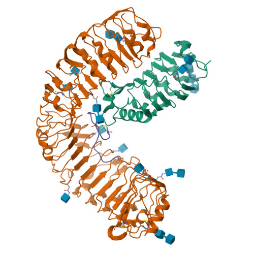 Structure 9VH2
